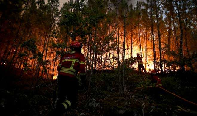 Αποτέλεσμα εικόνας για forest fire portugal