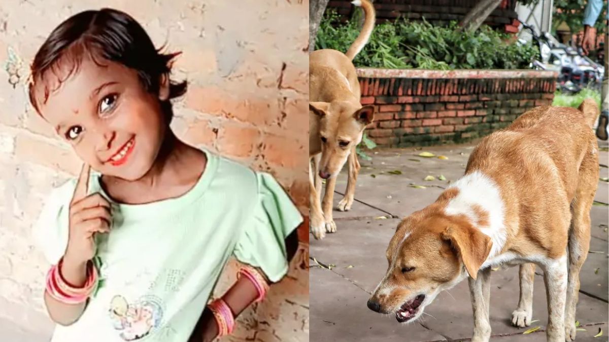 यूपी: आवारा कुत्तों ने 9 साल की बच्ची का हाथ काटकर अलग किया, नोंच-नोंचकर दी दर्दनाक मौत