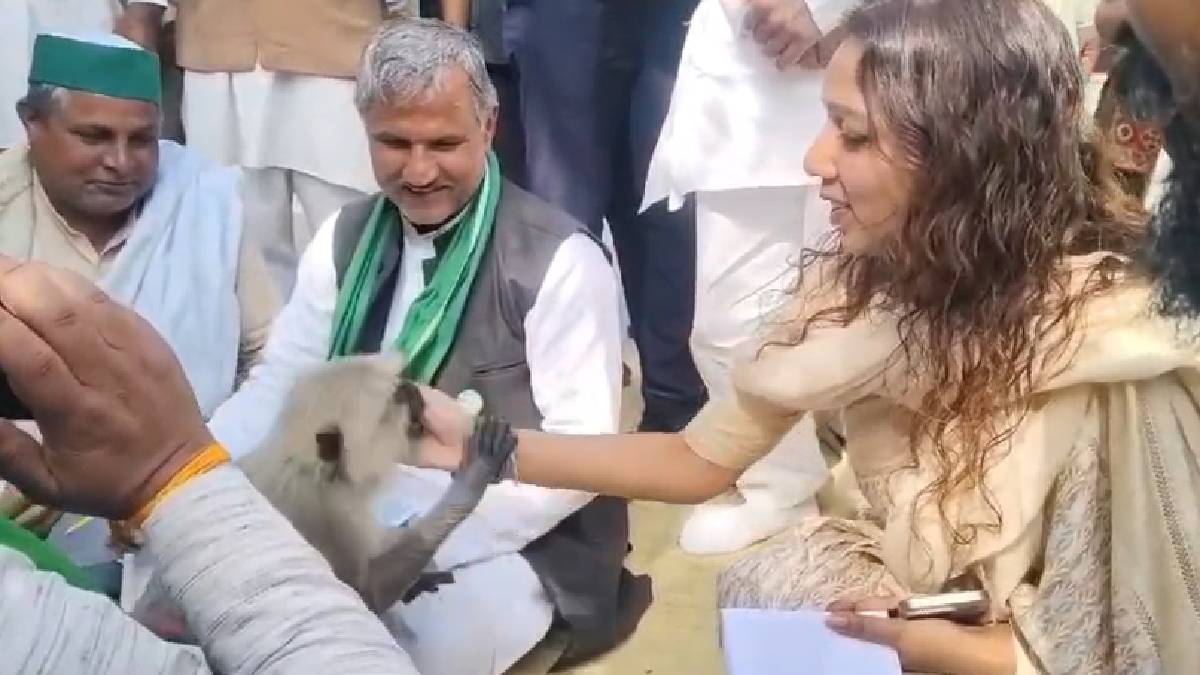 यूपीः लंगूर ने साड़ी खींचकर रोका डीएम का रास्ता, डीएम साहिबा बोलीं-'नो मटरू, मैं यहीं हूं', वीडियो वायरल