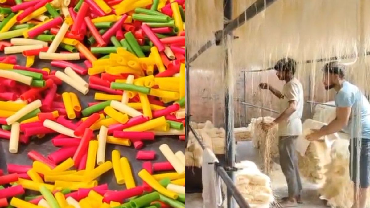 होली पर 'जहर' परोसने की थी तैयारी, खाद्य विभाग ने रेड करके पकड़ी 13 क्विंटल रंगीन कचरी और सेवाइयां
