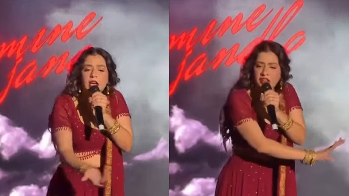 औरतों को छेड़ रहे थे दो आदमी, कॉनसर्ट रोकर फेमस सिंगर ने लिया एक्शन, लात माकर कराया बाहर