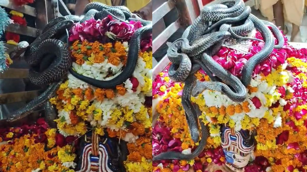अनोखा मंदिर जहां जिंदा सांपों से होता है भोलेनाथ का श्रृंगार, दिन में 3 बार बदलता है शिवलिंग का रंग