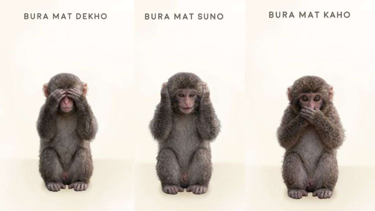 मुंबई पुलिस का क्रिएटिव अंदाज! वायरल Monkey की फोटो यूज कर जारी किया हेल्पलाइन नंबर; यूजर्स को पसंद आया आ​इडिया