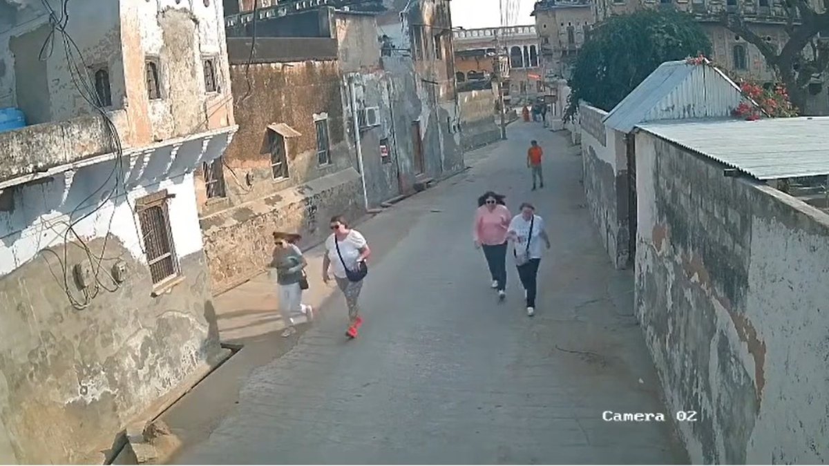 जब विदेशी सैलानियों पर अचानक मधुमक्खियों ने कर दिया हमला, मच गई अफरा-तफरी, देखें Video