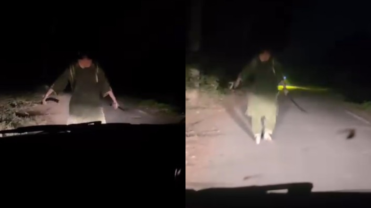 रात में कार पर अंडा फेंक लूट के फिराक में थे लुटेरे, NRI महिला ने तलवार लेकर खदेड़ा; VIDEO वायरल