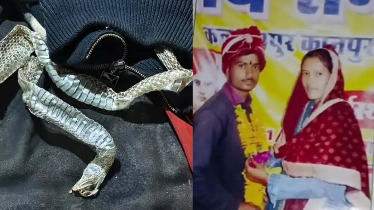 बिस्तर पर केंचुली रखकर प्रेमी के साथ फरार हुई थी लड़की, कोर्ट में बयान से पलटी, बोली- 'परिजनों के साथ घर जाउंगी'