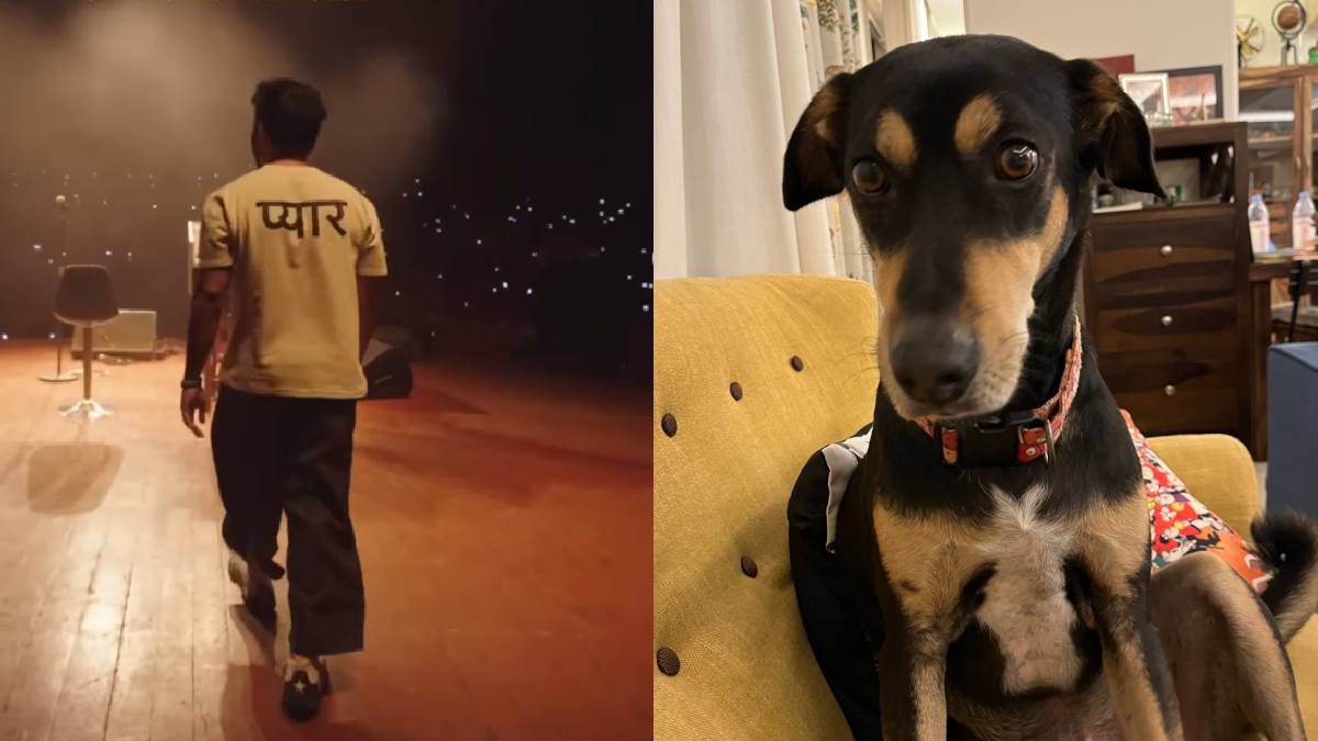 रोबोडॉग मामले की खिल्ली उड़ाने में पीछे नहीं रहे फेमस एक्टर, बोले- इसे गलगोटिया यूनिवर्सिटी ने नहीं बनाया