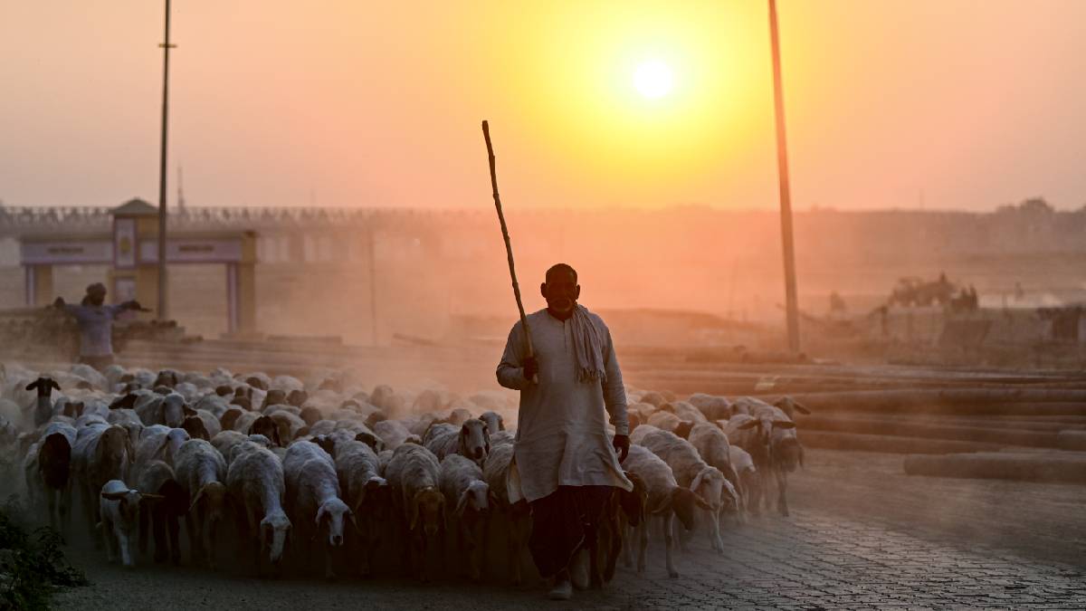 दिल्ली समेत कई राज्यों में 3-5°C तक बढ़ेगा तापमान, फरवरी में मार्च जैसी गर्मी, महाराष्ट्र में 36.6°C तक पहुंचा पारा