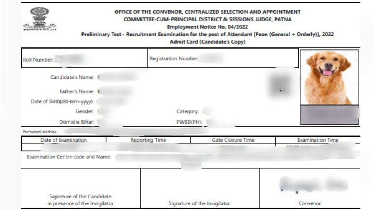 लापरवाही की हद...एडमिट कार्ड पर अभ्यर्थी की जगह लगा दी कुत्ते की फोटो; 15 मार्च को है परीक्षा