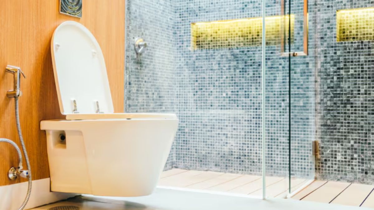 बाथरूम और वॉशरूम में क्या अंतर होता है, सुनकर कन्फ्यूज हो जाते हैं लोग; क्या आपको पता है