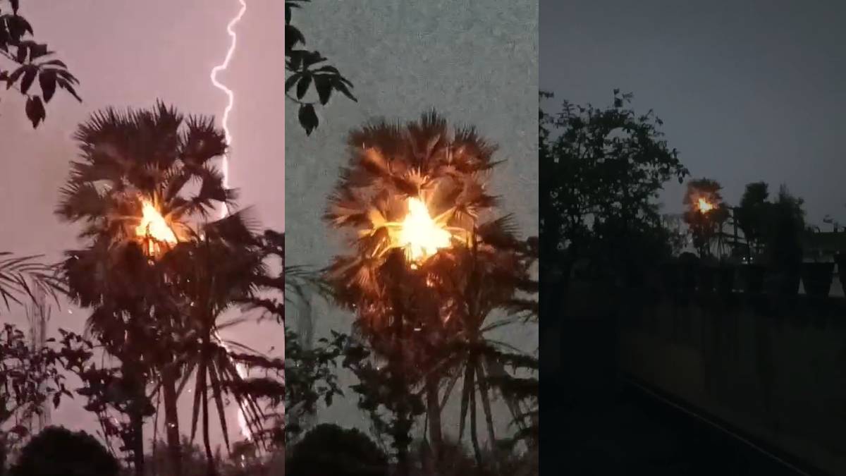 Video: बिहार में आंधी के साथ बारिश और ओलावृष्टि, अररिया में दो बच्चों की मौत, ताड़ के पेड़ पर वज्रपात से लगी आग
