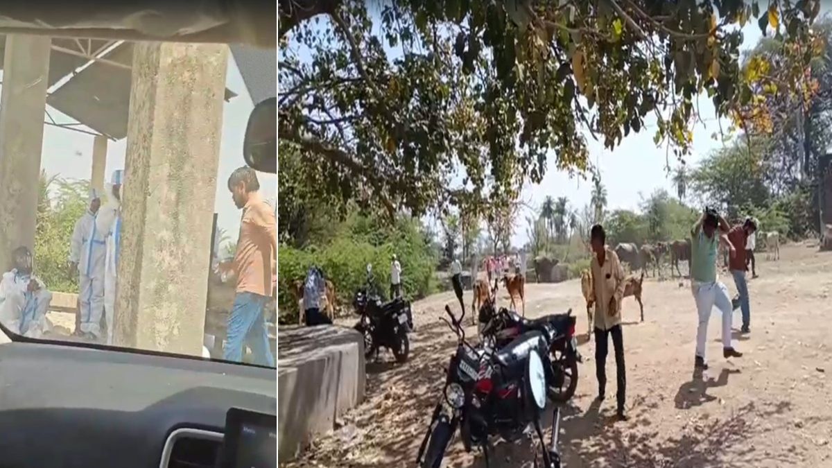 मधुमक्खी काटने से हुई मौत, अंतिम संस्कार करने गए तो फिर से कर दिया हमला, एक और ने तोड़ा दम