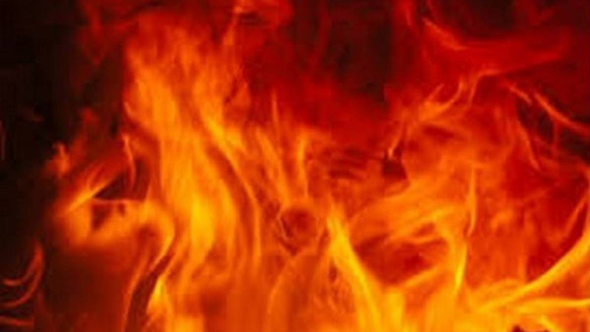 हरियाणाः जींद की फैक्ट्री में लगी भीषण आग, 5 महिलाओं की मौत; 20 मजदूर झुलसे