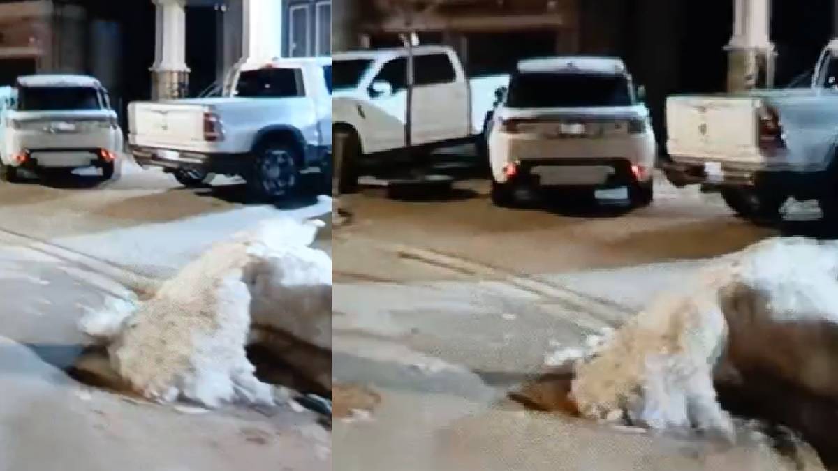 रोहित गोदारा-गोल्डी बरार गैंग ने कनाडा में दूसरे दिन की फायरिंग, Vipen Chauser से बोला- अगली बार गोली घर में चलेगी