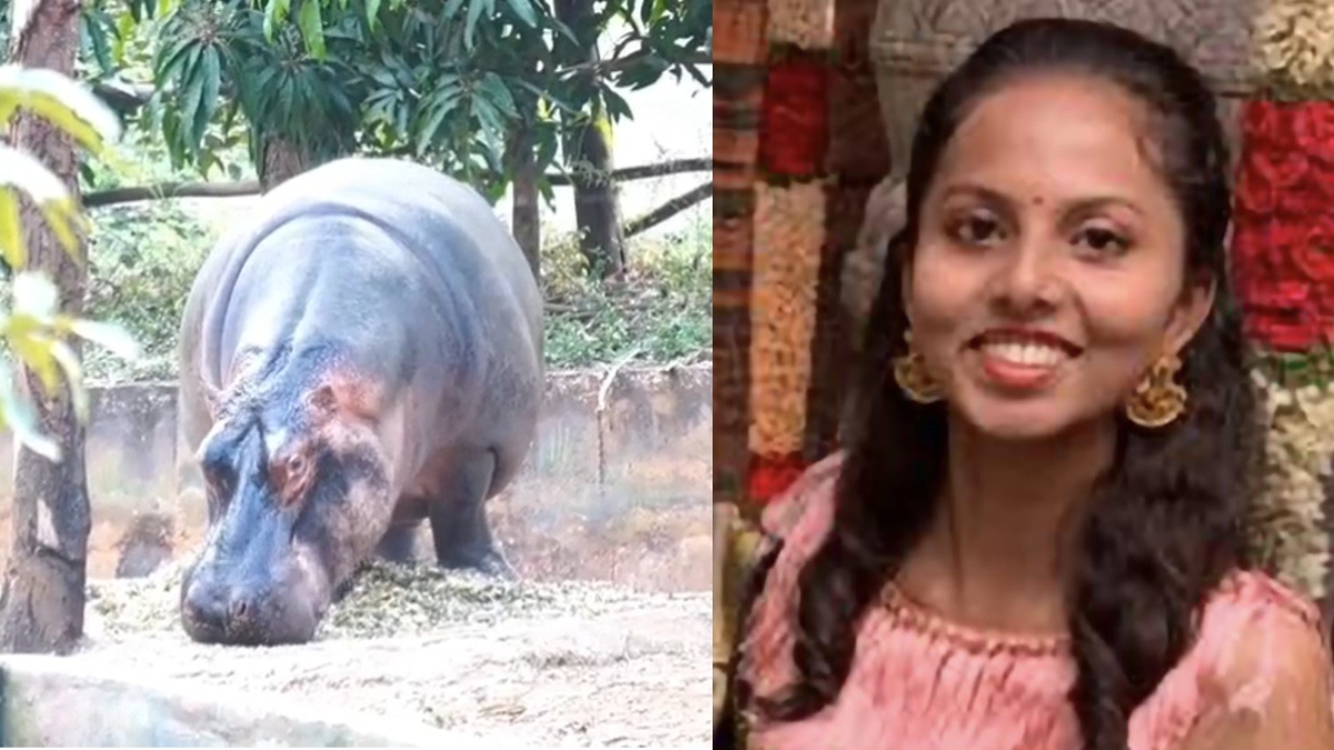 हिप्पोपोटामस के हमले में ट्रेनी वेटरनरी ऑफिसर की मौत, तापमान जांचने के दौरान जानवर ने किया था हमला