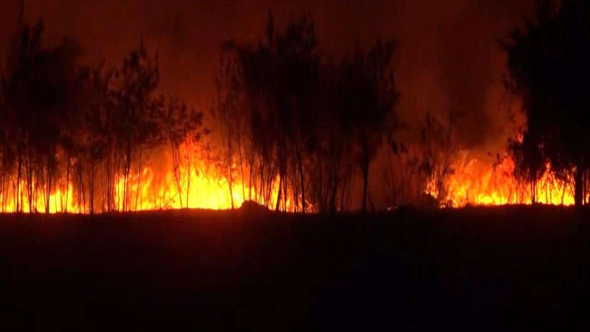 VIDEO: इंदौर एयरपोर्ट पर सूखी घास में लगी भीषण आग, दूर-दूर तक दिखीं लपटें, छाया धुएं का गुबार