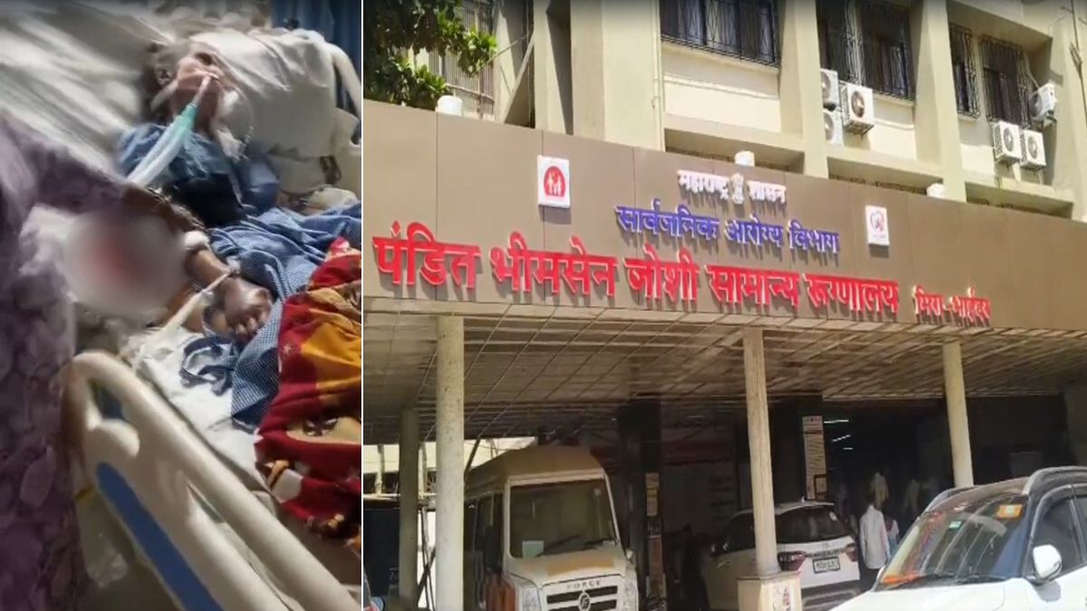 मुंबई: अस्पताल के ICU में चूहों ने कुतरा बुजुर्ग महिला का हाथ, हुई मौत; डॉक्टर-नर्स भी नहीं जान पाए