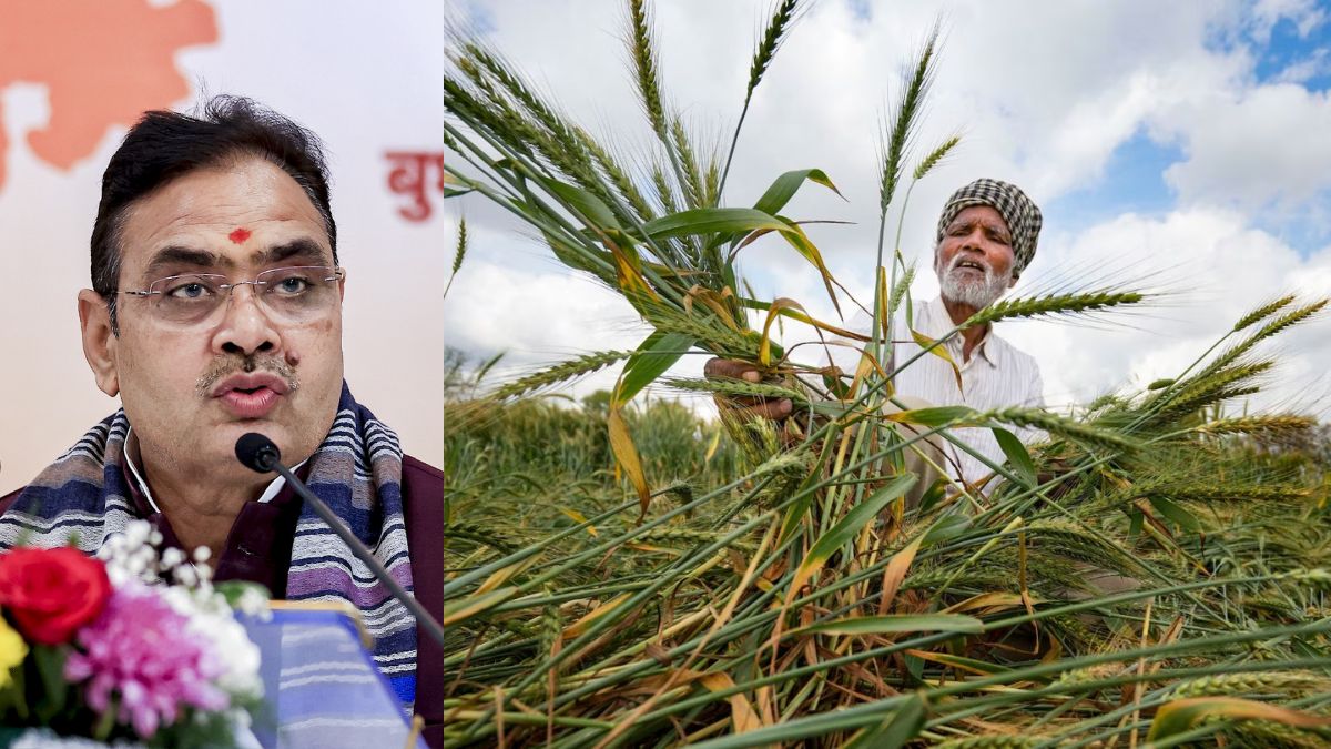 राजस्थान में बेमौसम बारिश ने तोड़ी किसानों की कमर, सीएम भजनलाल शर्मा ने फसल सर्वे के आदेश दिए