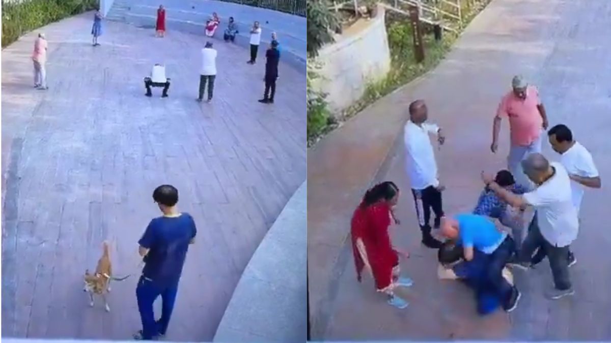 कुत्ते के पेशाब करने पर हुई मारपीट, व्यायाम कर रहे वरिष्ठ नागरिकों ने शख्स को पीटा; सामने आया VIDEO