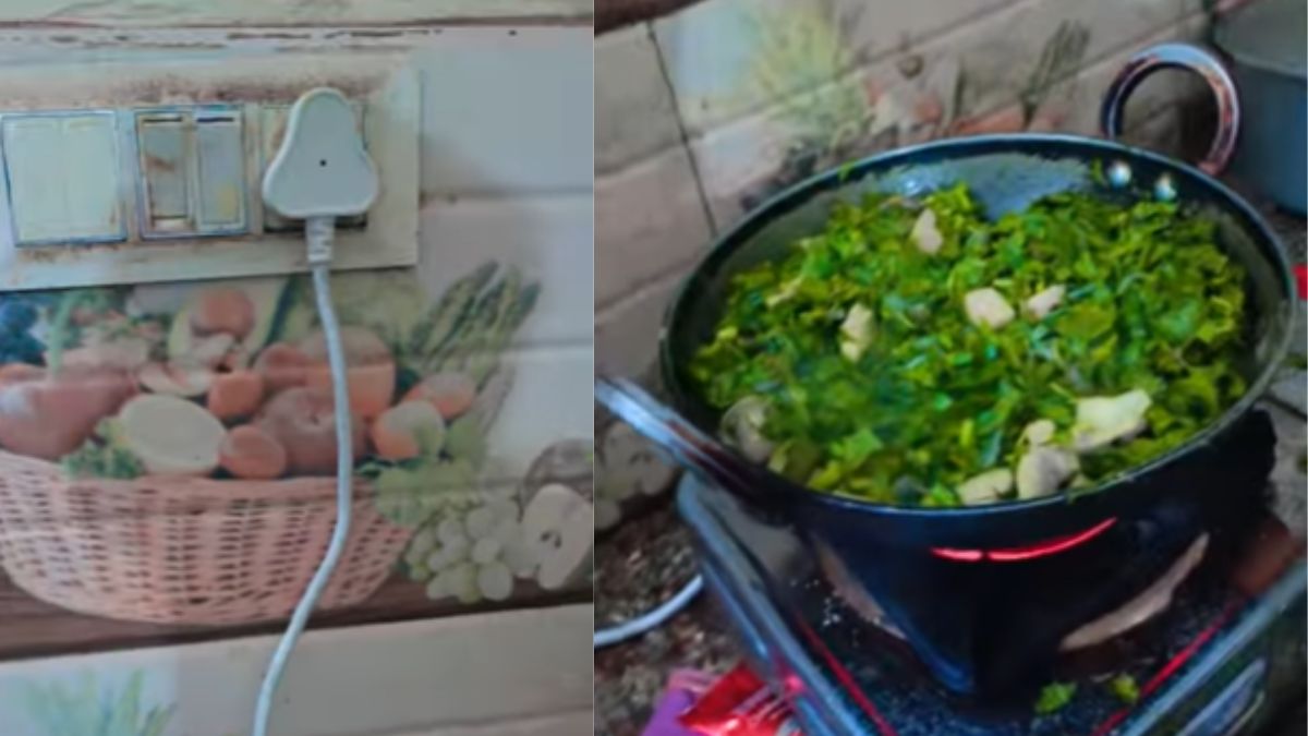 गैस खत्म हुई तो इलेक्ट्रिक चूल्हा ले आया, लेकिन फिर भाई के साथ जो हुआ वो आपसे देखा नहीं जाएगा; VIDEO हो रहा वायरल