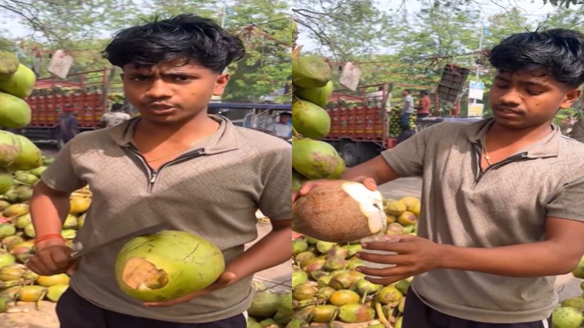 कौन से नारियल में मिलता है सबसे ज्यादा पानी? इस लड़के ने Video में अच्छे से समझाया