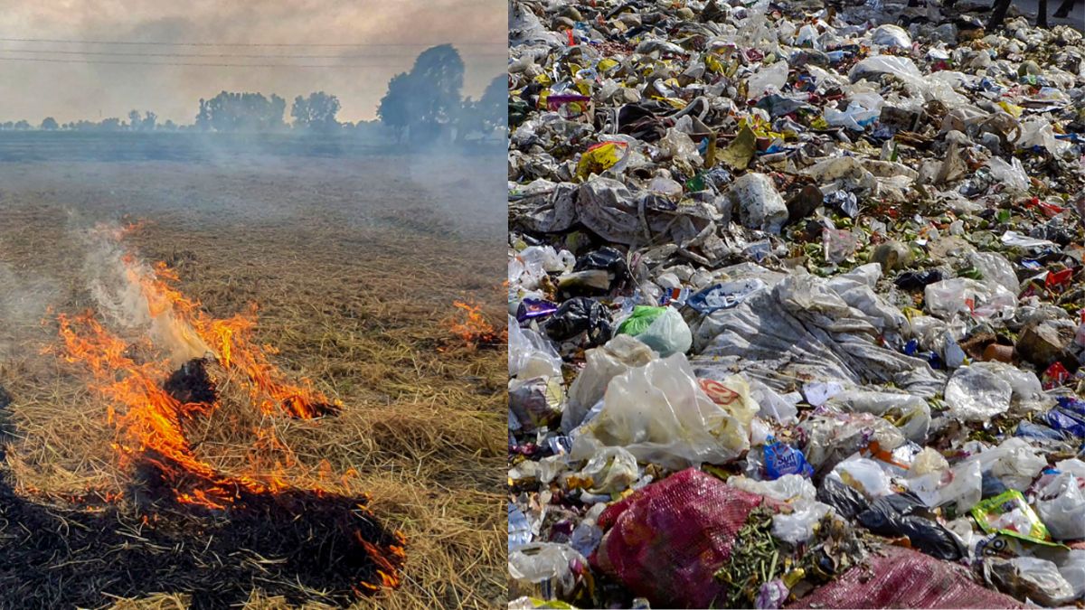 पाकिस्तान दुनिया का सबसे प्रदूषित देश, केवल 13 देश WHO के मानकों पर खरे उतरे, जानें भारत की रैंकिंग