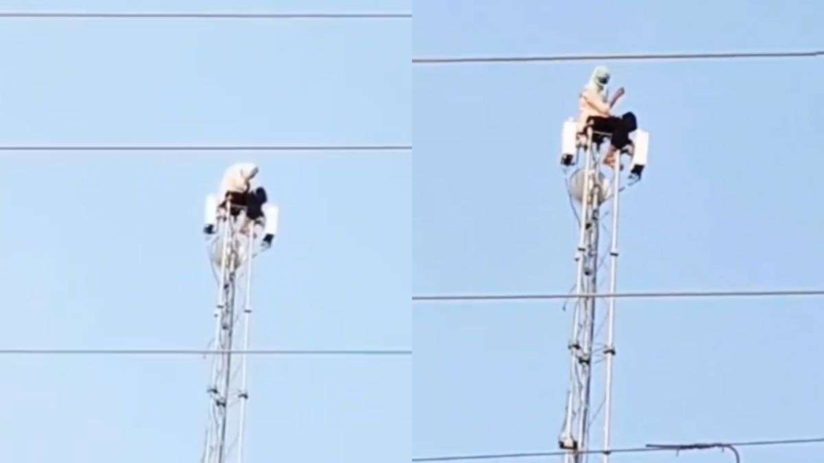 प्रेमी से शादी करने के लिए टावर पर चढ़ गई लड़की, Video हो रहा है वायरल
