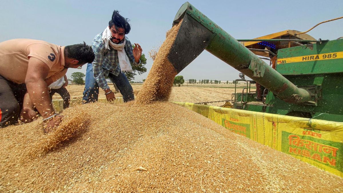 गेहूं के MSP में बढ़ोतरी, इस राज्य में किसानों को मिलेगा फायदा- जानें कब शुरू होगी खरीदारी