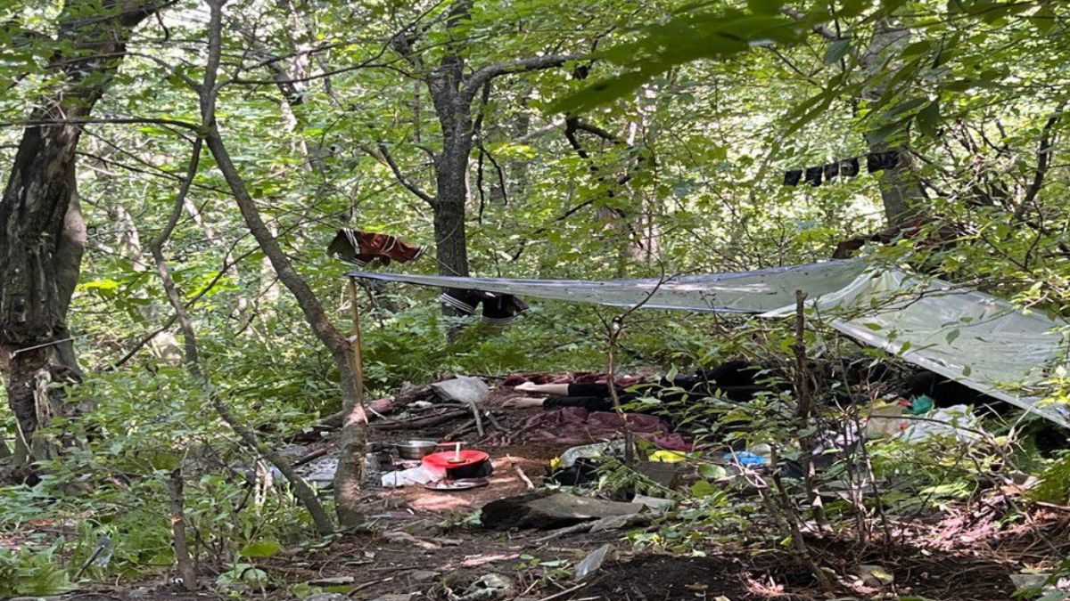 ऑपरेशन महादेव ने दिलाया पहलगाम पीड़ितों को न्याय, 3 आतंकी मार गिराए, जानें कैसे की गई कार्रवाई