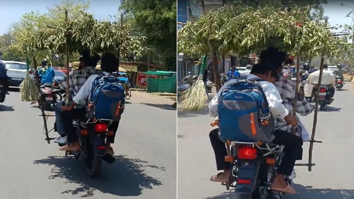 40 डिग्री में भी कूल! दीपक ने बाइक को 'पेड़' बना दिया, पत्तों वाला AC देखकर रुक गए राहगीर; VIDEO