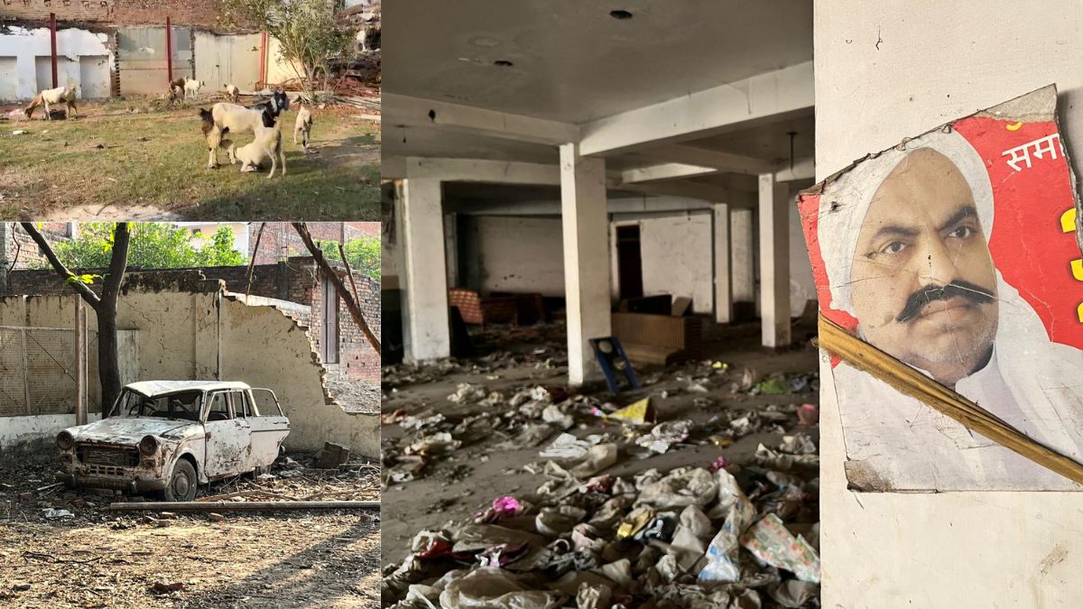 माफिया अतीक अहमद की बरसी पर सूनी रही कब्र, जिस दरबार में लोग लगाते थे हाजिरी, आज वहां चर रही बकरियां