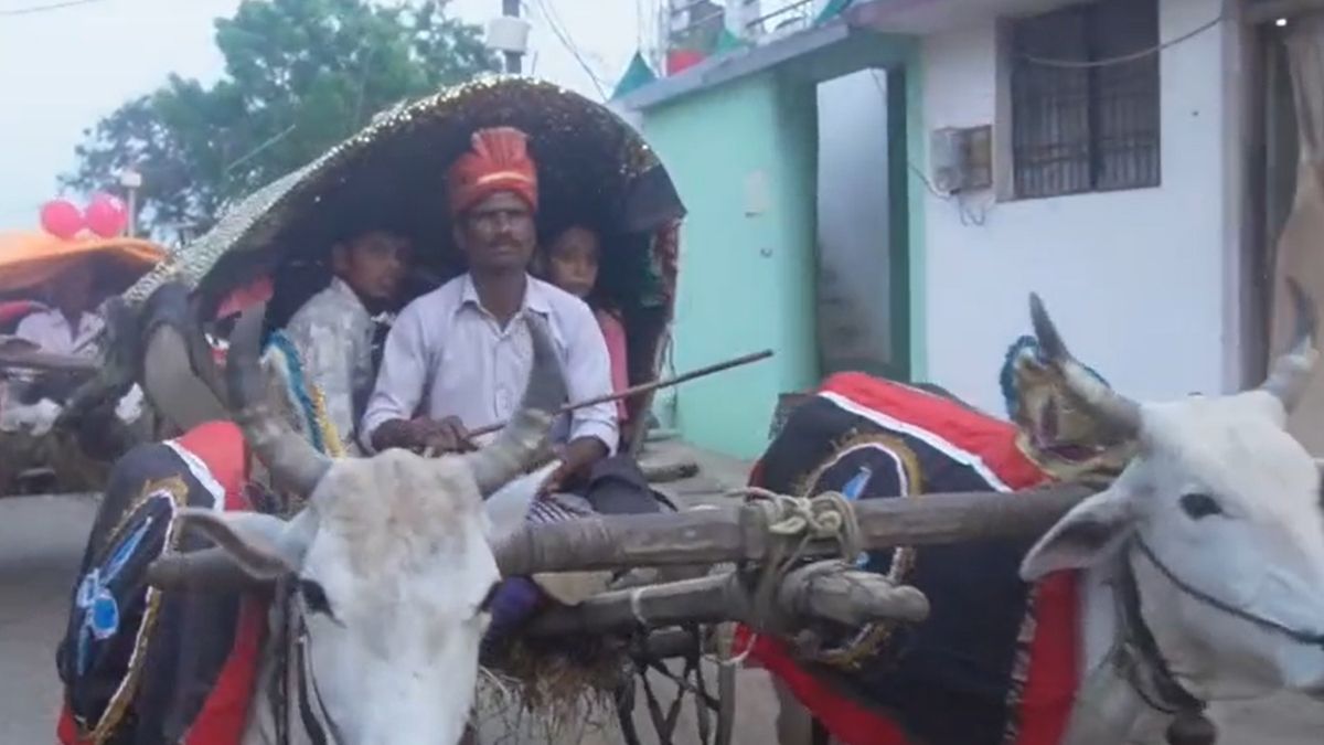 बैलगाड़ियों पर सज-धजकर निकली बारात, आधुनिकता के दौर में दूल्हे ने परंपरा को दिया मान; देखें VIDEO