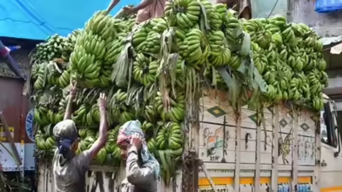 केलों के बीच छिपाकर ले जा रहे थे 9 क्विंटल गांजा, पुलिस ने पकड़ा, जानें कितनी है कीमत