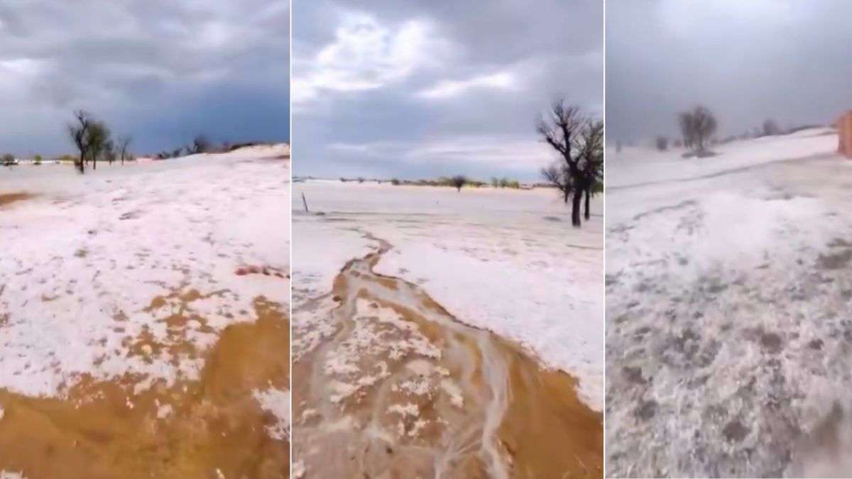 कश्मीर जैसा बन गया बीकानेर! चारों ओर दिख रही बर्फ ही बर्फ, Viral Video देख चौंक जाएंगे