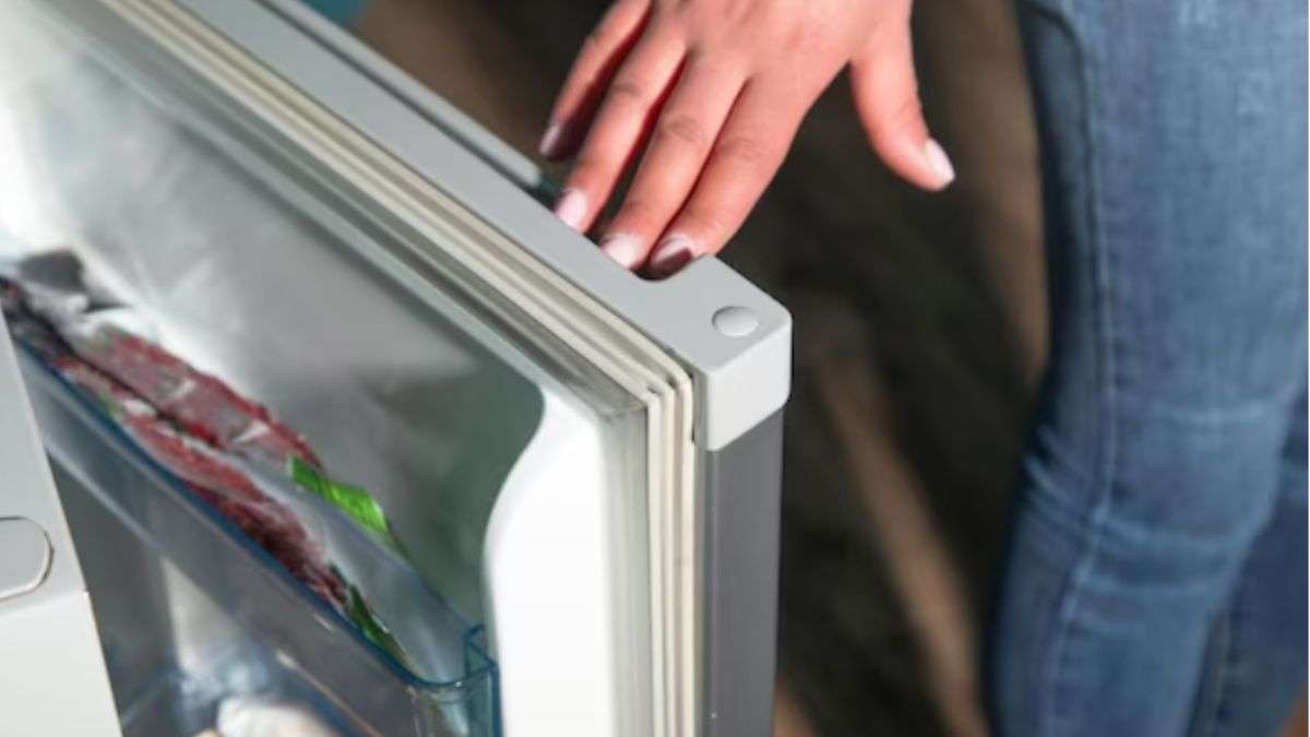 फ्रिज के दरवाजे पर रबर क्यों लगी होती है, सुनकर दिमाग हिल जाएगा; बड़े काम की चीज है