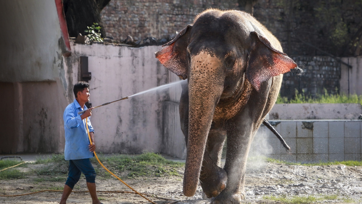 थोड़ी राहत लेकर आएगा मई का महीना, अगले तीन दिन तक जारी रहेगा गर्मी का कहर, 6 राज्यों में हीटवेव का अलर्ट