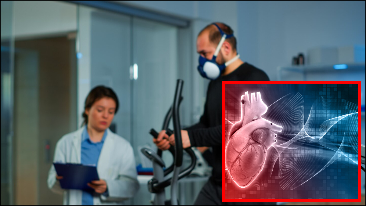 1 दिन में दिल कितनी बार धड़कता है, शरीर को फिट रखने के लिए कितना खून पंप करता है हार्ट, जानकर हैरान रह जाएंगे