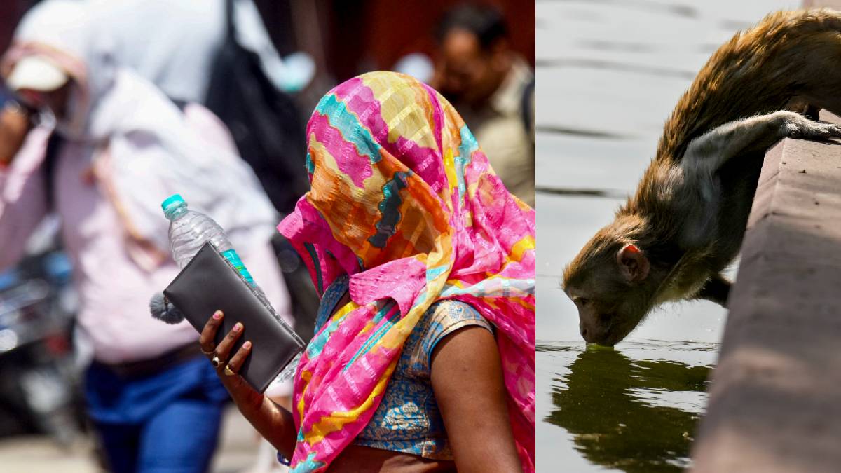 दुनिया के 20 सबसे गर्म शहरों में से 19 भारत में, 7 बिहार तो 8 पश्चिम बंगाल की सिटी; देखें पूरी सूची