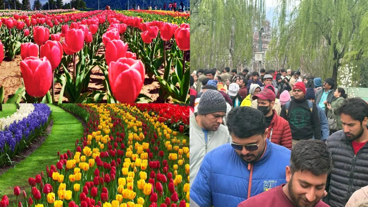 जम्मू-कश्मीर: 16 अप्रैल से बंद होगा जा रहा है ट्यूलिप गार्डन, 3.5 लाख से ज्यादा लोगों ने किया 18 लाख फूलों का दीदार