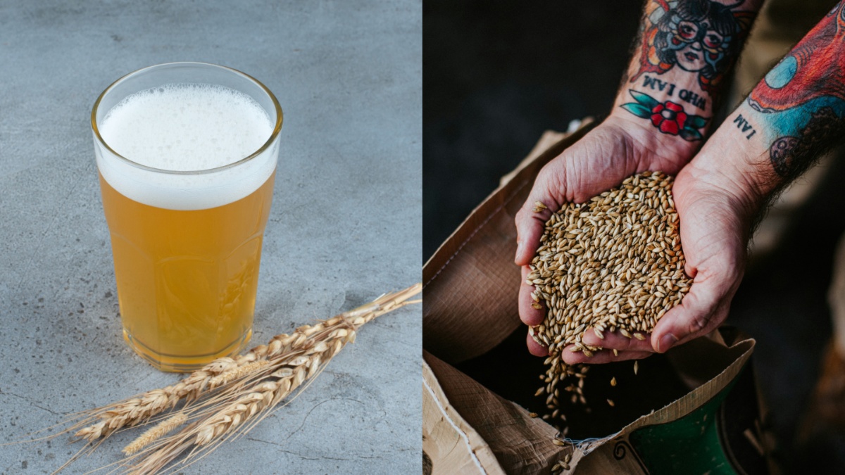 सुबह खाली पेट जौ का पानी पीने से क्या होता है? जानें इसके फायदे और सेवन का सही तरीका