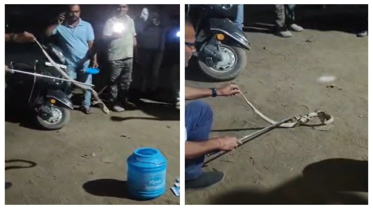 झारखंड: जब वर्कशॉप में फुफकारते हुए घुस गया जहरीला नाग, मचा हड़कंप, किया गया कैद-देखें वीडियो