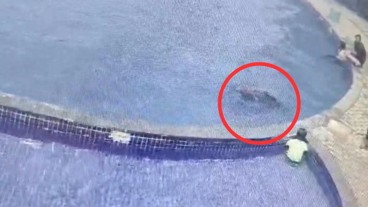 8 साल के बेटे का जन्मदिन मनाने स्विमिंग पूल गया था पिता, अचानक बेहोश होकर गिरा और डूबने से हुई मौत, देखें VIDEO