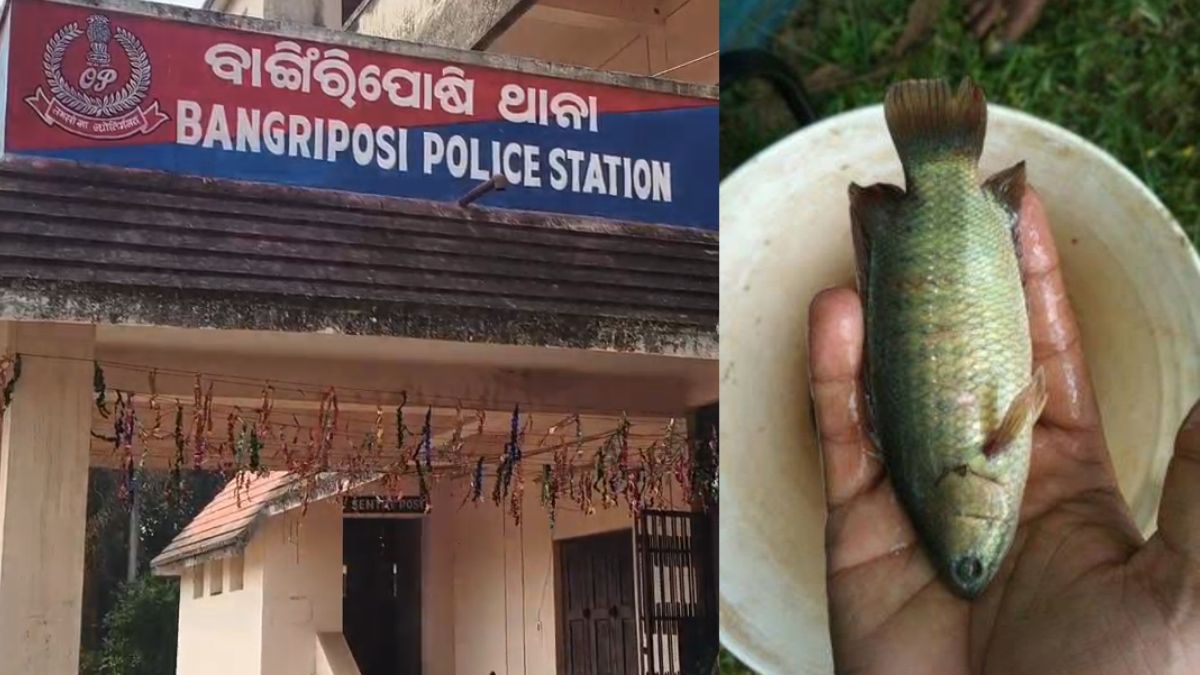 मछली पकड़ते समय दर्दनाक हादसा, युवक के गले में फंसी जिंदा मछली, हुई मौत