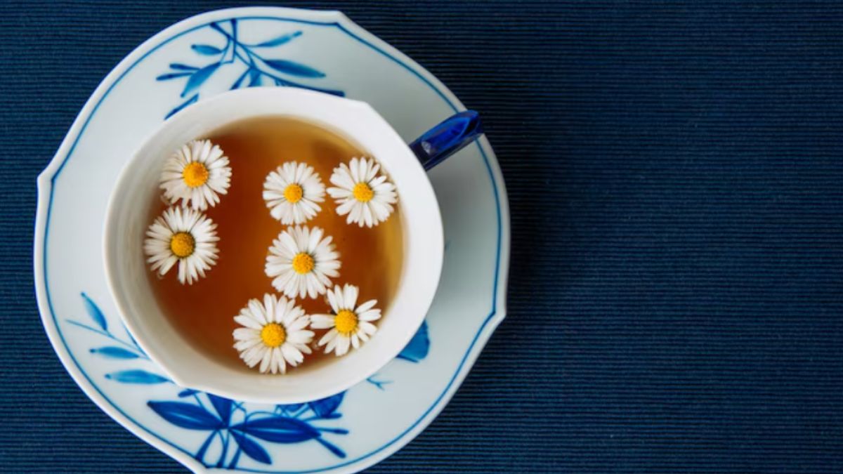 सुबह सुबह पीना शुरू कर दें कैमोमाइल चाय, 10 दिनों में दिखेगा कमाल का फर्क