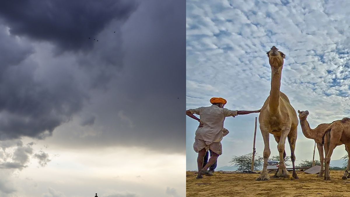 IMD Alert: राजस्थान में आंधी, बारिश और ओले का अलर्ट जारी, 60 किमी की रफ्तार से चलेंगी हवाएं