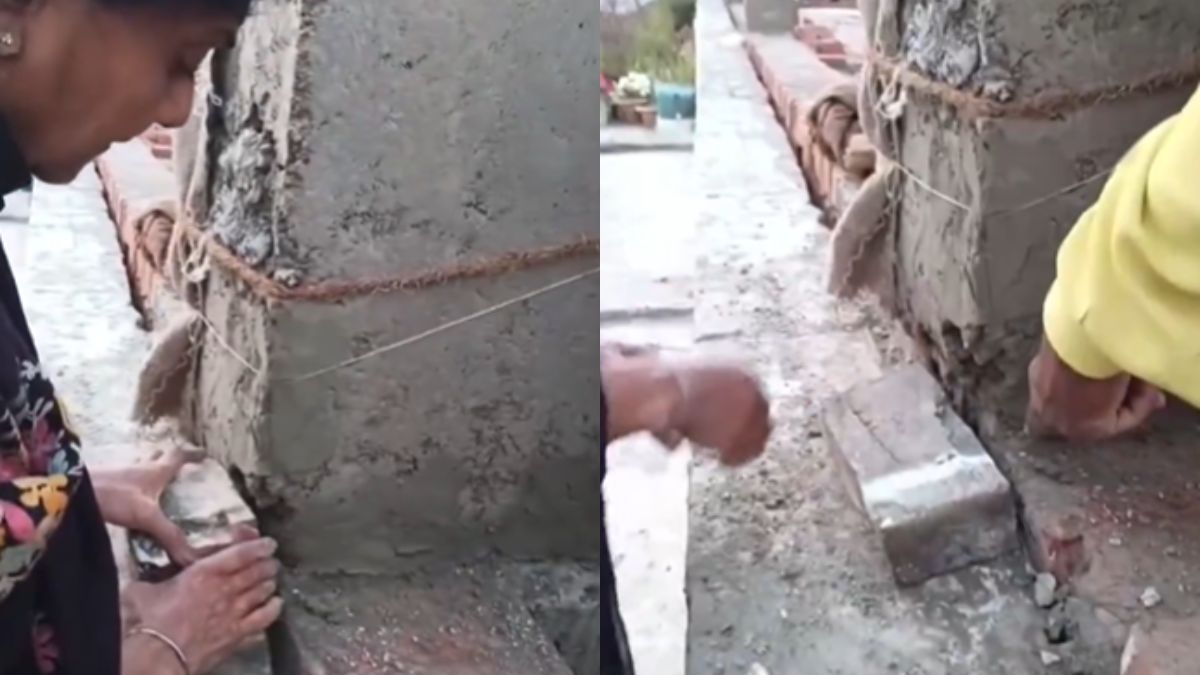 एक इंच जमीन के लिए शुरू हुई बहस और Video हो गया वायरल, जरा आप भी देखिए