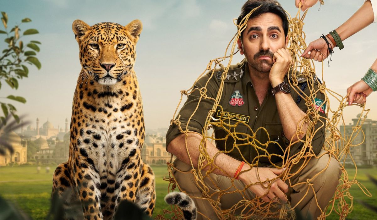 'पति पत्नी और वो दो' की रिलीज डेट का हुआ ऐलान, सिनेमाघरों में कब दस्तक देगी आयुष्मान खुराना-सारा अली की फिल्म?