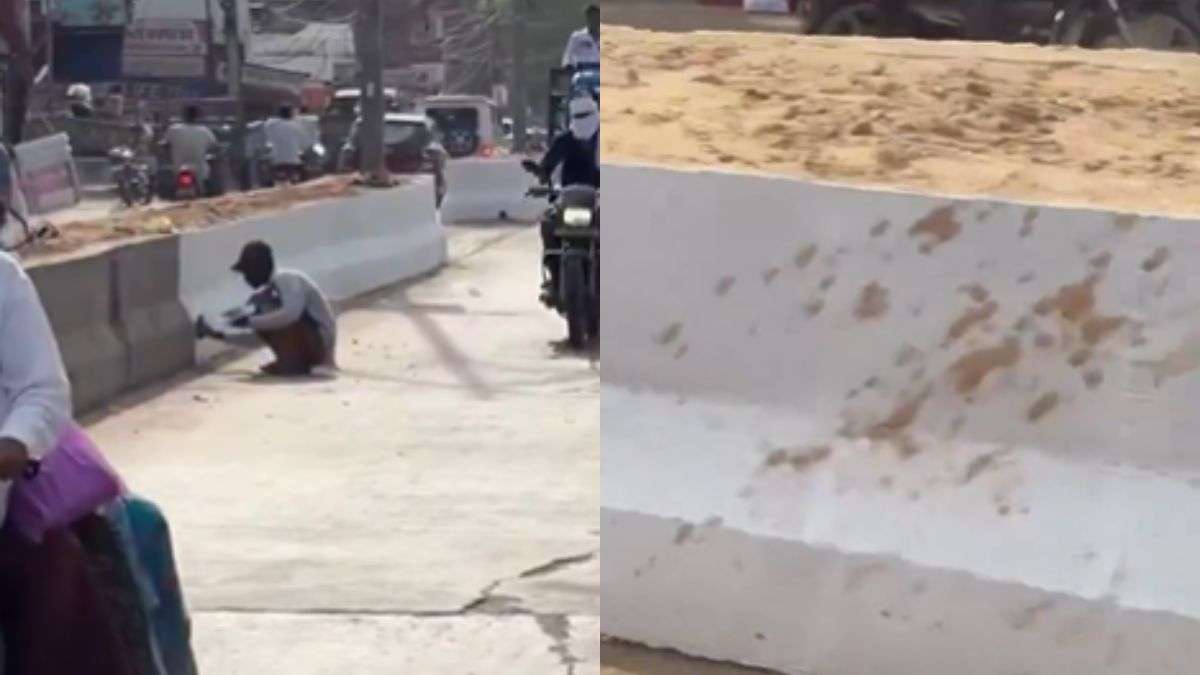 इस देश में बेवकूफ लोगों की बिल्कुल कमी नहीं है, वायरल Video देख समझ जाएंगे सब कुछ