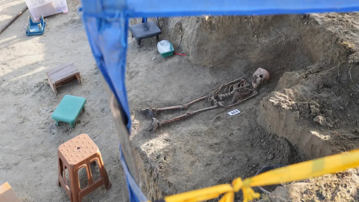 सामूहिक कब्र से निकल रहे नर कंकाल, खुदाई में अब तक 250 शव बरामद, जानिए इसके पीछे का रहस्य