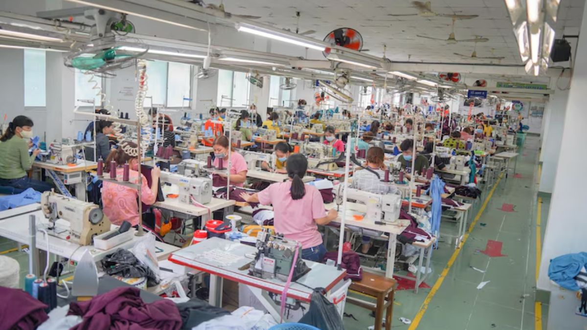 डिजिटलीकरण सुधारों से बढ़ी MSME की उत्पादकता, IMF रिसर्च में सामने आईं अहम बातें